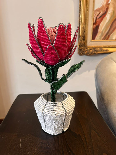 Wire and Bead Protea in a pot