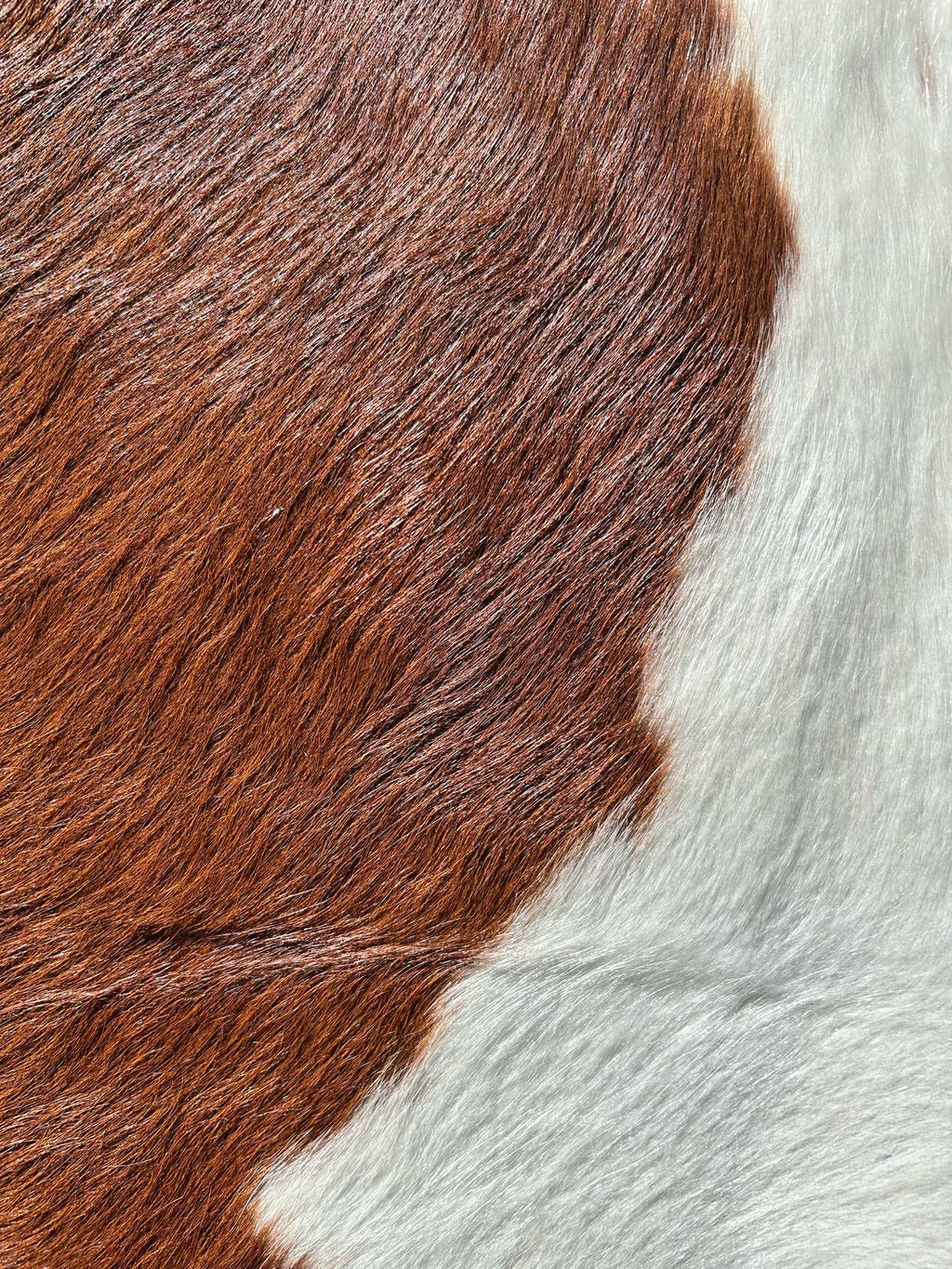Hides, Skins and Mats