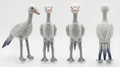 Feather Friends Gift Pack for Little Birders