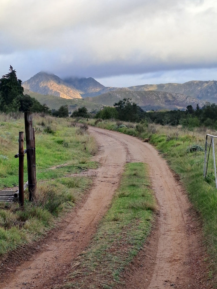 Outeniqua Walking Experience