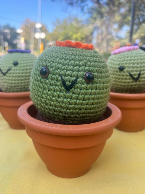 Crochet Cacti, by Pretty Fingers