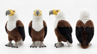 Feather Friends Gift Pack for Little Birders