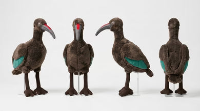 Feather Friends Gift Pack for Little Birders