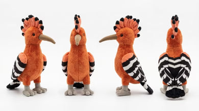 Feather Friends Gift Pack for Little Birders