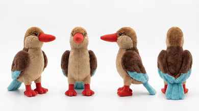 Feather Friends Gift Pack for Little Birders