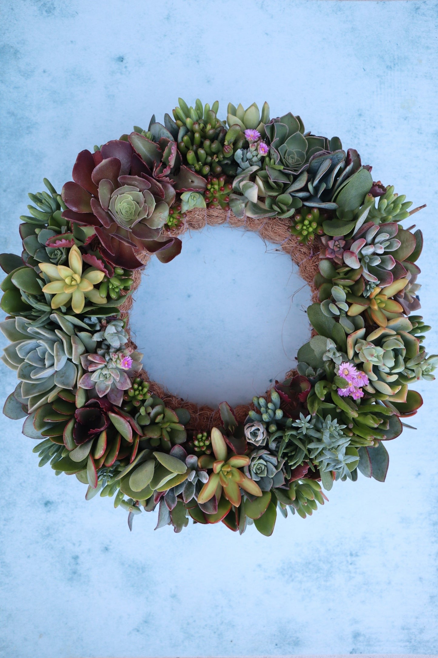 Living Wreaths, by Earthbound Succulent Designs