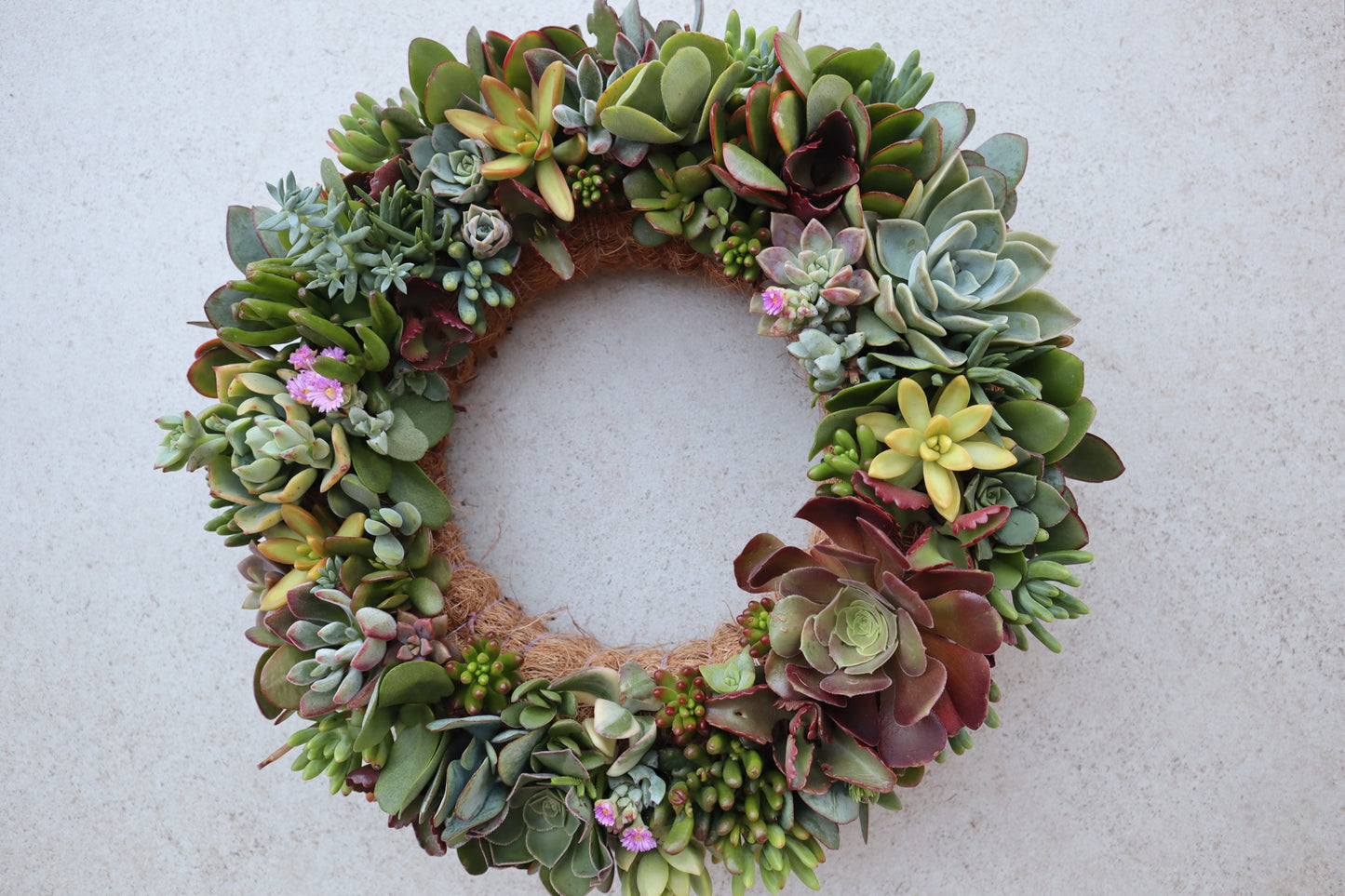 Living Wreaths, by Earthbound Succulent Designs