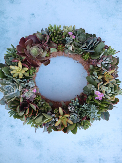 Living Wreaths, by Earthbound Succulent Designs