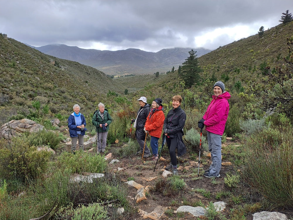 Outeniqua Walking Experience