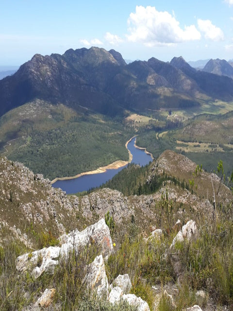 Outeniqua Walking Experience