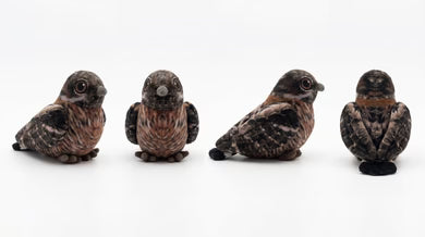 Feather Friends Gift Pack for Little Birders
