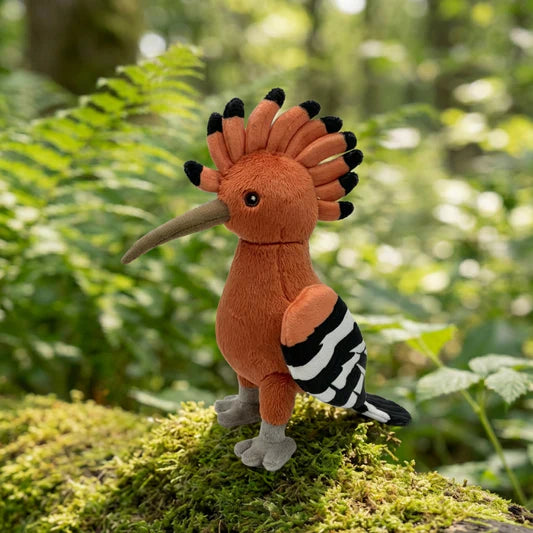 Feather Friends Gift Pack for Little Birders