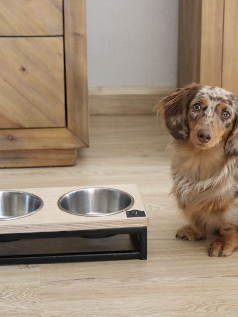 Raised Dog Bowl Holders