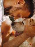 Vondi's Health Hamper for Senior Dogs | Natural Arthritis & Joint Care