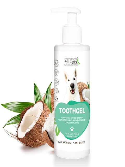 Natural Dog Toothpaste – Cleaning and Re-freshening Toothgel