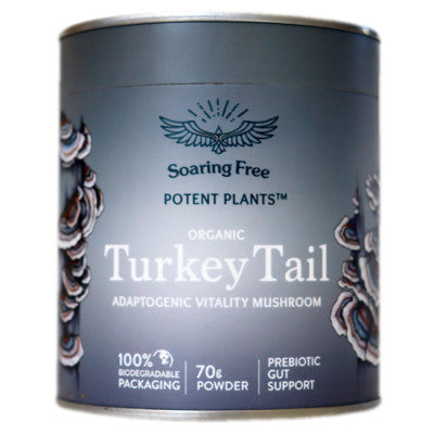 Turkey Tail Powder 70g
