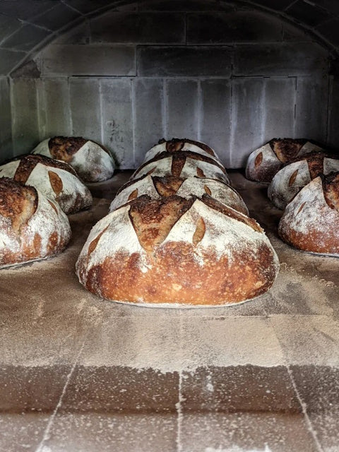 Sourdough baking with Linden Loaves 7th December, 2024