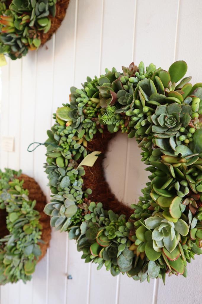 Living Wreaths, by Earthbound Succulent Designs