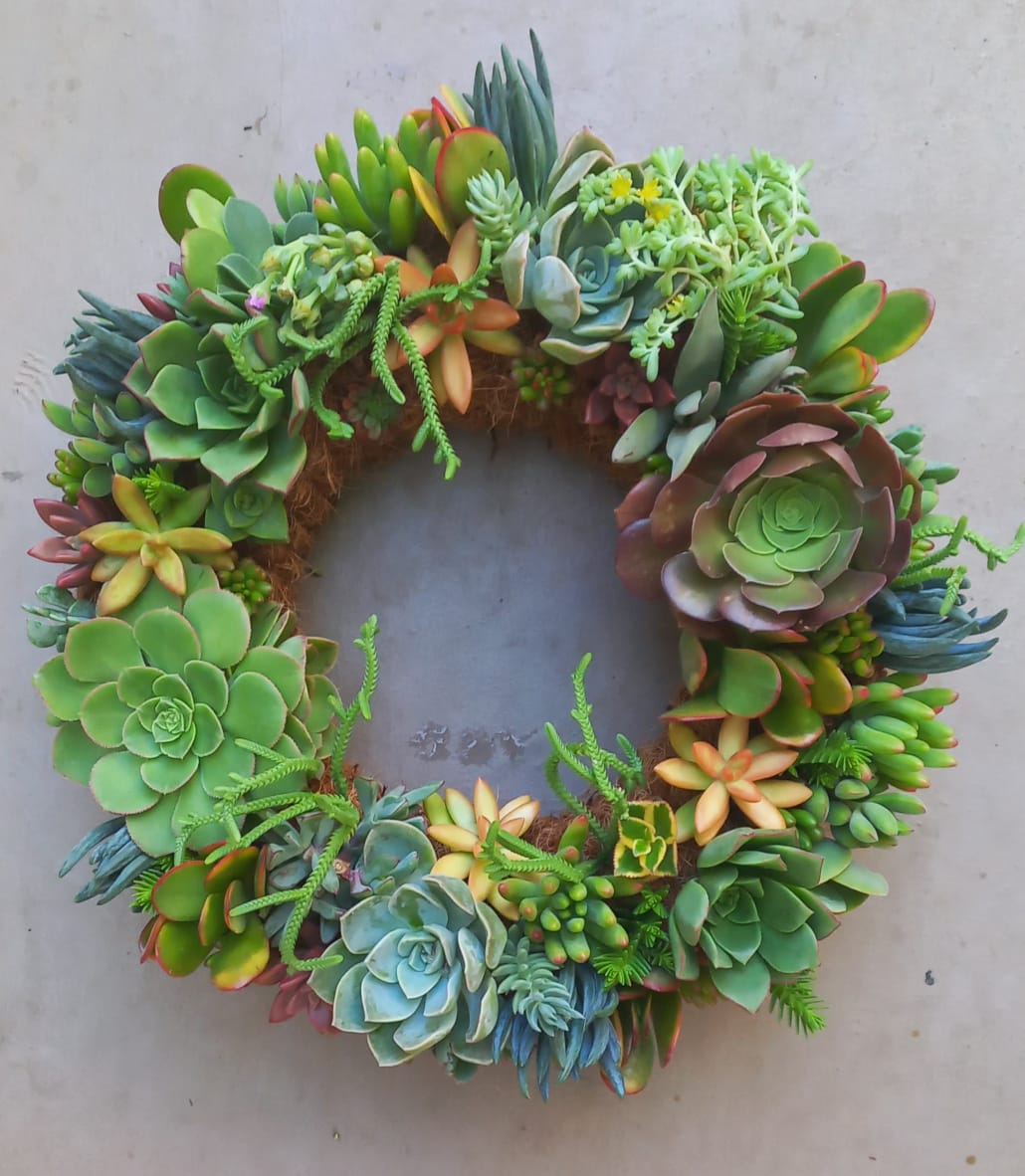 Living Wreaths, by Earthbound Succulent Designs