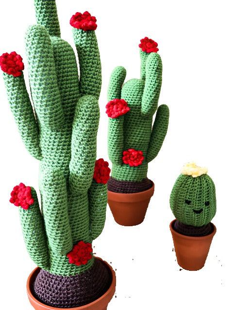 Crochet Cacti, by Pretty Fingers - Truffle Pig Recce