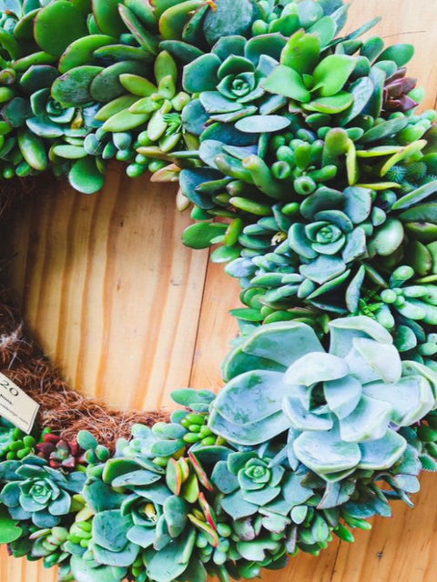 Living Wreaths, by Earthbound Succulent Designs