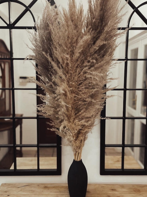 Decorative Pampas Grass, by Lincolin Kali - Truffle Pig Recce